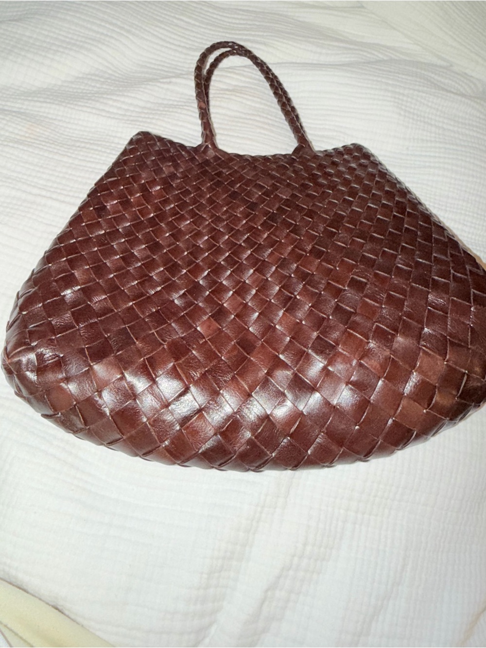 Dragon Santa Croce small in Dark Brown